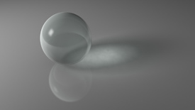 Pearl - Photo courtesy of Sigurd Decroos